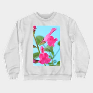 Salvia  &amp;#39;Neon&amp;#39;  Sage Crewneck Sweatshirt